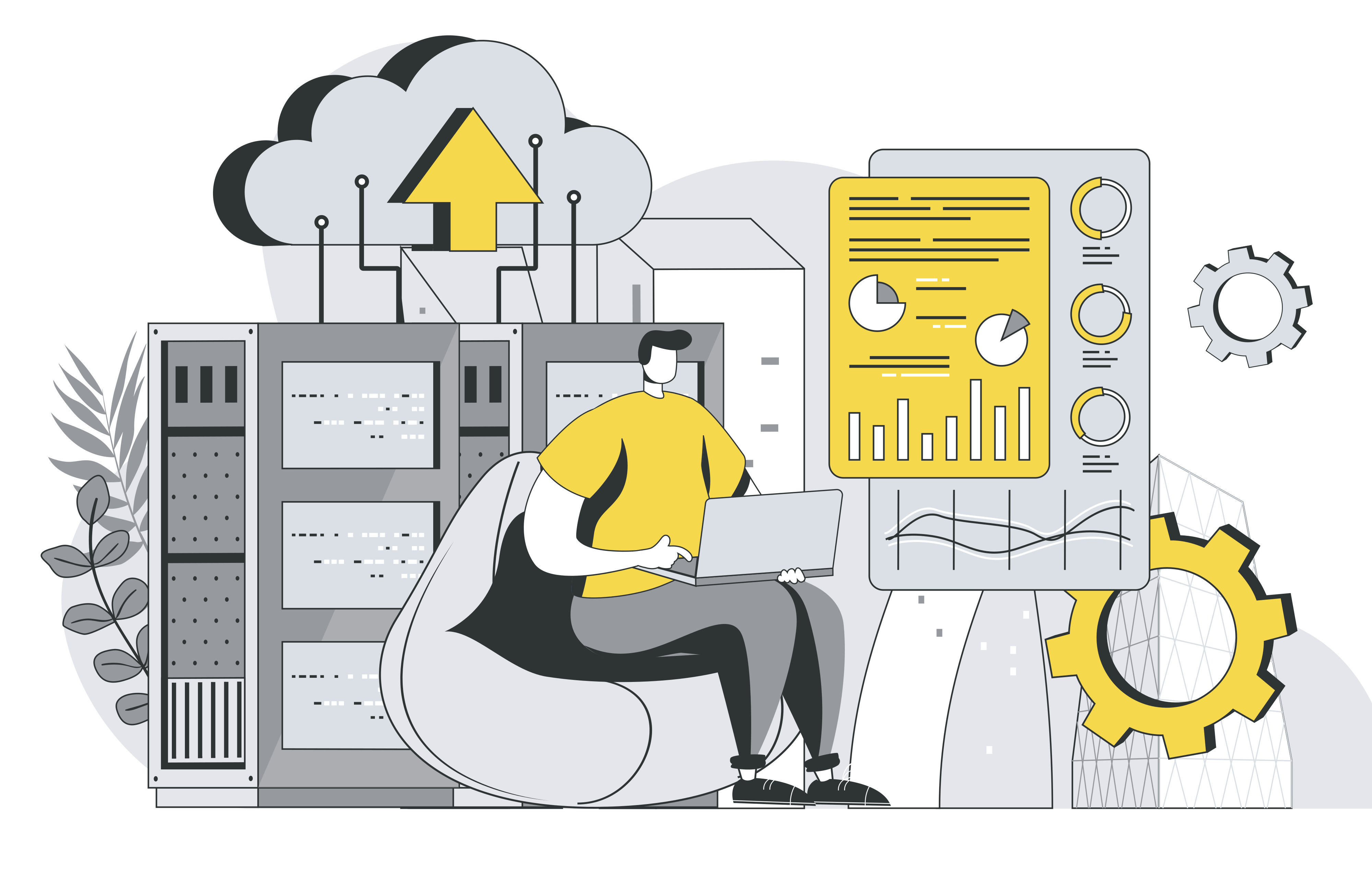 Web Development Internship